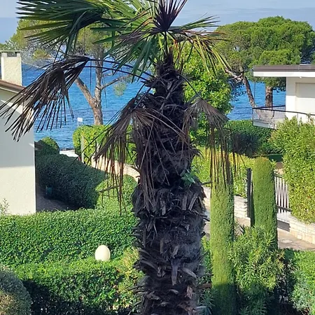 Betulla View *